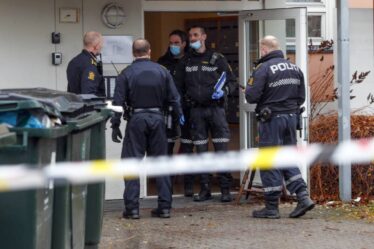 Il y a eu jusqu'à présent cinq cas de meurtre en Norvège cette année. Voici ce que nous savons - 16