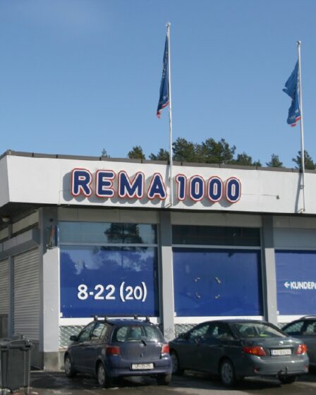 Déclin de Rema 1000 dans un marché de l'épicerie difficile 17 Déclin de Rema 1000 dans un marché de l'épicerie difficile - 16