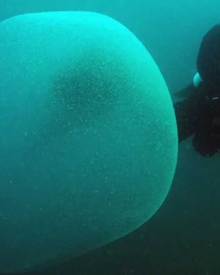 PHOTO: des scientifiques résolvent enfin le mystère des blobs flottants géants découverts au large des côtes norvégiennes - 4