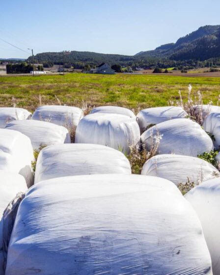 70% du plastique des rivières norvégiennes provient de balles rondes dans l'agriculture, selon une étude - 7