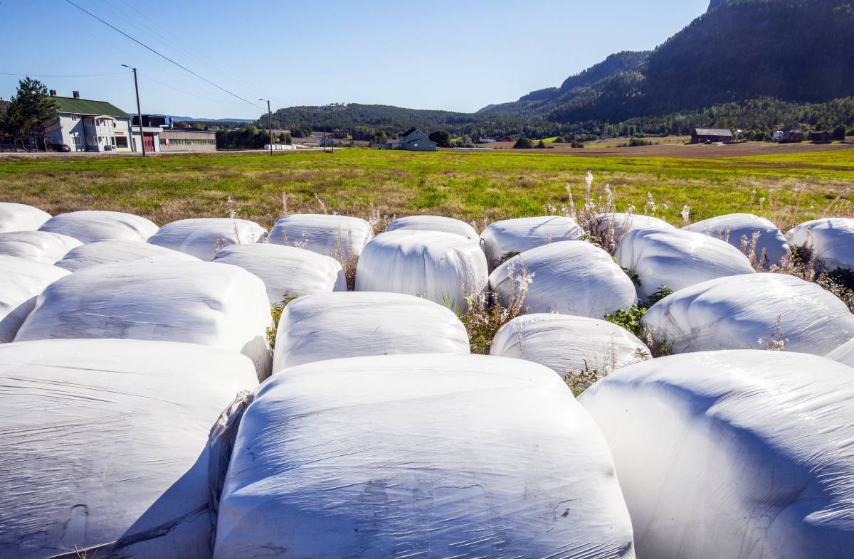 70% du plastique des rivières norvégiennes provient de balles rondes dans l'agriculture, selon une étude 4 70% du plastique des rivières norvégiennes provient de balles rondes dans l'agriculture, selon une étude - 3