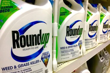Herbicide potentiellement mortel vendu en Norvège - 18