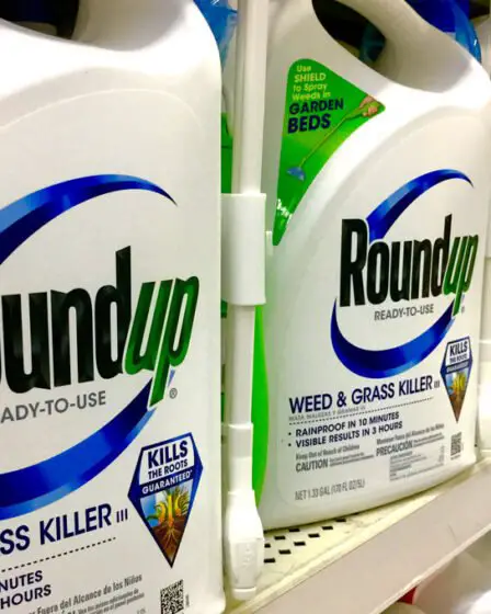 Herbicide potentiellement mortel vendu en Norvège 17 Herbicide potentiellement mortel vendu en Norvège - 16