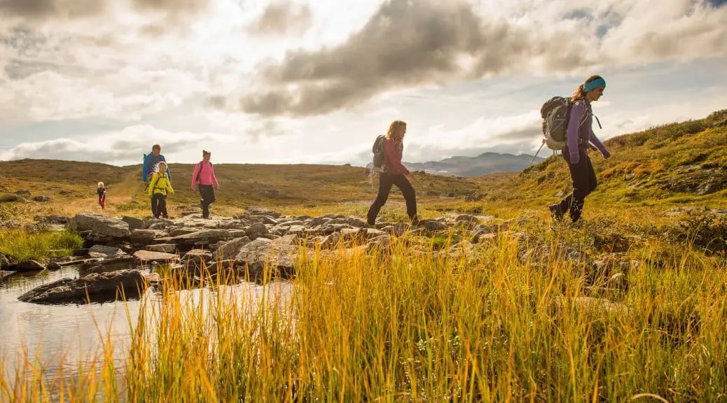 Kongevegen sur Filefjell - Norway Today 4 Kongevegen sur Filefjell - Norway Today - 3