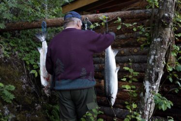 Sous la menace? Le saumon sauvage et le renne considérés comme de nouveaux candidats pour la Liste rouge des espèces de Norvège - 16