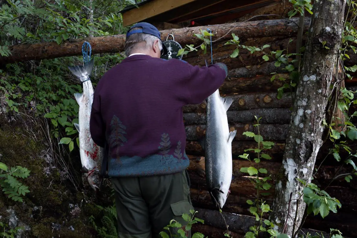 Vestland a enregistré la pêche la plus illégale parmi les comtés norvégiens jusqu'à présent cette année 4 Vestland a enregistré la pêche la plus illégale parmi les comtés norvégiens jusqu'à présent cette année - 3