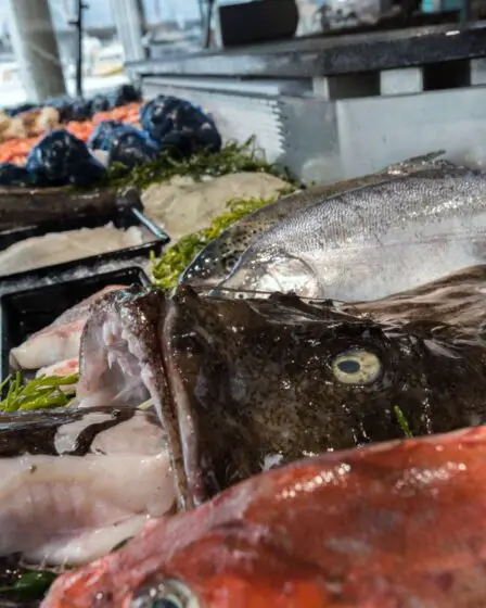 Les exportations norvégiennes de fruits de mer enregistrent de solides résultats au premier trimestre 2021 17 Les exportations norvégiennes de fruits de mer enregistrent de solides résultats au premier trimestre 2021 - 16
