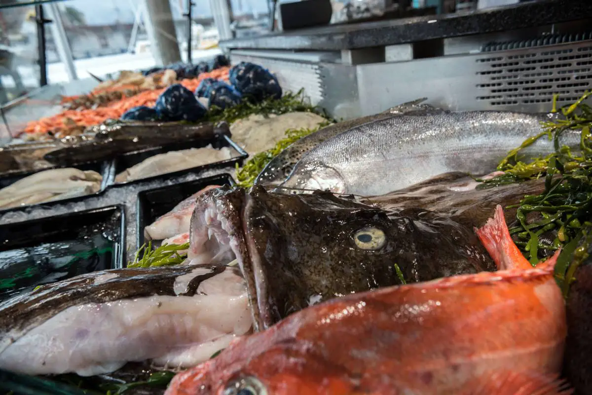 Les exportations norvégiennes de fruits de mer enregistrent de solides résultats au premier trimestre 2021 4 Les exportations norvégiennes de fruits de mer enregistrent de solides résultats au premier trimestre 2021 - 3