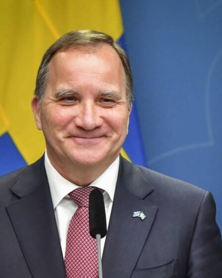 Une semaine après sa démission, Stefan Löfven est chargé de former un nouveau gouvernement en Suède - 22