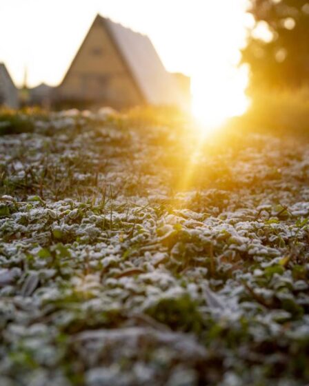 2020 est l'année la plus chaude en Norvège depuis le début des mesures il y a 120 ans 26 2020 est l'année la plus chaude en Norvège depuis le début des mesures il y a 120 ans - 25
