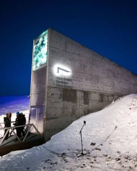 Combien de temps les graines peuvent-elles vivre? L'expérience de 100 ans lancée dans le coffre-fort "apocalyptique" de Norvège vise à découvrir - 17