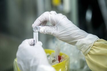 Le nouveau médicament corona a montré des résultats prometteurs lors des tests, selon une nouvelle étude - 26