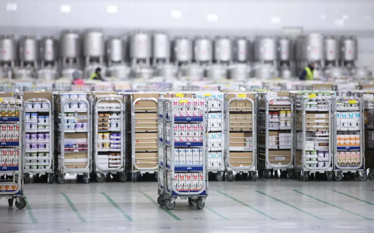 Deux cas du variant de coronavirus muté détectés à la laiterie Tine à Oslo 4 Deux cas du variant de coronavirus muté détectés à la laiterie Tine à Oslo - 3