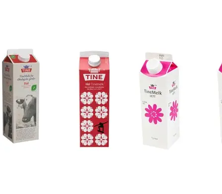 Les hauts responsables de Tine et Tetra-Pak admettent leur corruption 5 Les hauts responsables de Tine et Tetra-Pak admettent leur corruption - 4