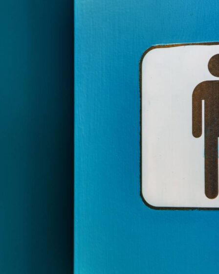 Gouvernement: les toilettes doivent être placées à un maximum d'une heure d'intervalle le long des autoroutes norvégiennes - 12