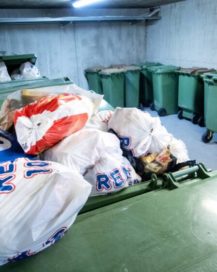 Une nouvelle étude révèle de grandes quantités de plastique toxique dans les villes norvégiennes 2 Une nouvelle étude révèle de grandes quantités de plastique toxique dans les villes norvégiennes - 1