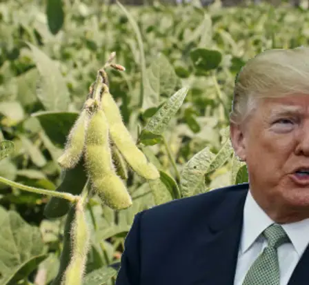 La Chine avec un excédent commercial record 17 La Chine avec un excédent commercial record - 16