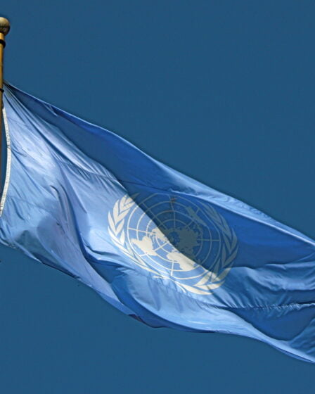 Les défenseurs de l'environnement adoptés par l'ONU - Norway Today - 29