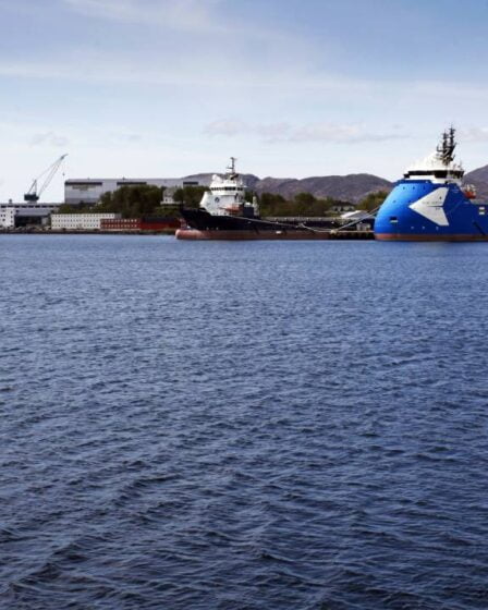 De nombreux étrangers qui ont obtenu un permis d'entrée travaillent dans les chantiers navals norvégiens sur la côte 20 De nombreux étrangers qui ont obtenu un permis d'entrée travaillent dans les chantiers navals norvégiens sur la côte - 19