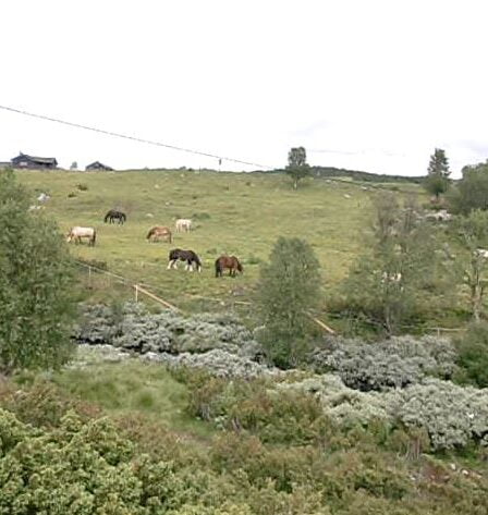DNT demandant aux gens de se souvenir du code de la montagne en été 23 DNT demandant aux gens de se souvenir du code de la montagne en été - 22