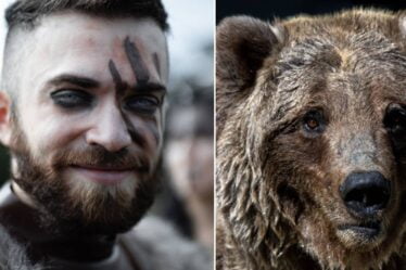 Les Vikings ont-ils vraiment gardé les ours comme animaux de compagnie? - 16