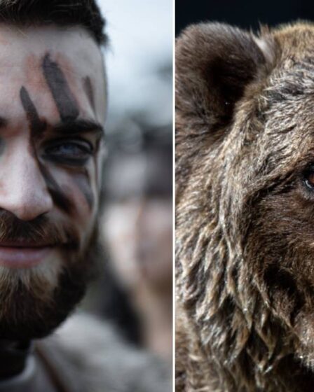 Les Vikings ont-ils vraiment gardé les ours comme animaux de compagnie? - 22
