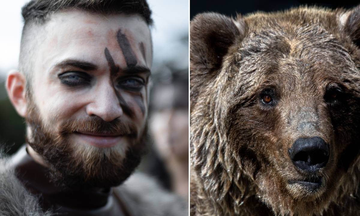Les Vikings ont-ils vraiment gardé les ours comme animaux de compagnie? 4 Les Vikings ont-ils vraiment gardé les ours comme animaux de compagnie? - 3