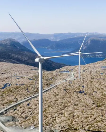 Les énergies renouvelables croissent à une vitesse record malgré la pandémie - 13