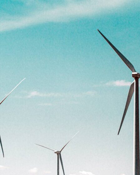 Nouvelle enquête : 42% des Norvégiens sont opposés aux projets de développement éolien - 4