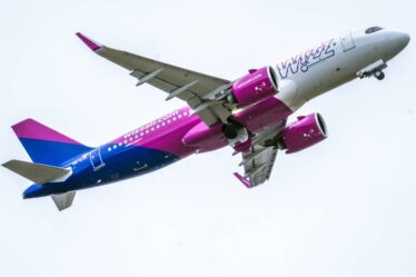DN: les pilotes de Wizz Air sont indépendants et leur contrat peut être résilié sans préavis - 16