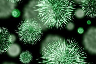 Un Norvégien en bonne santé sur dix est porteur de bactéries mortelles - 10