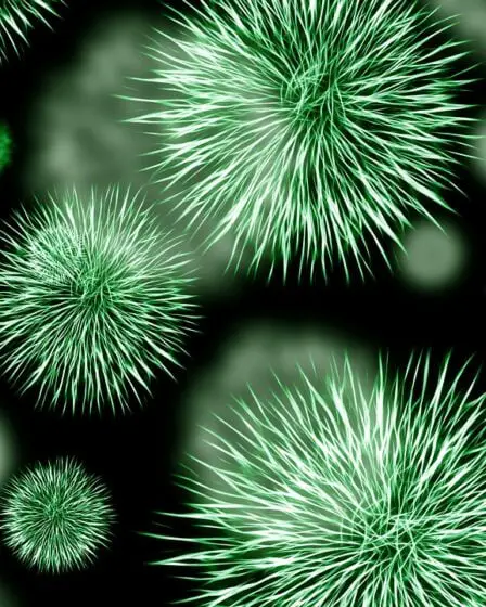 Un Norvégien en bonne santé sur dix est porteur de bactéries mortelles 20 Un Norvégien en bonne santé sur dix est porteur de bactéries mortelles - 19
