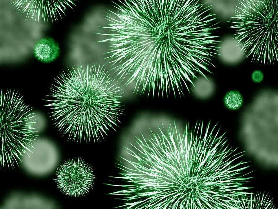 Un Norvégien en bonne santé sur dix est porteur de bactéries mortelles 4 Un Norvégien en bonne santé sur dix est porteur de bactéries mortelles - 3
