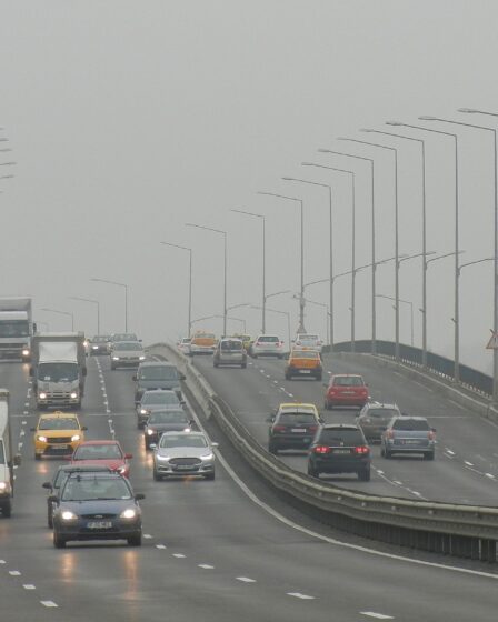 Les ventes de voitures diesel continuent de baisser 13 Les ventes de voitures diesel continuent de baisser - 12