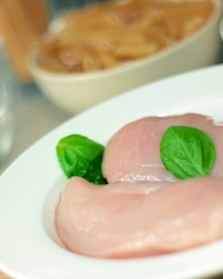 Salmonella détectée dans 33 tonnes de poulet en provenance de Pologne 26 Salmonella détectée dans 33 tonnes de poulet en provenance de Pologne - 25