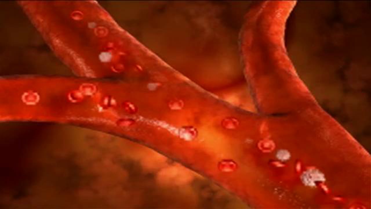 Le bon cholestérol peut encore être dangereux 4 Le bon cholestérol peut encore être dangereux - 3