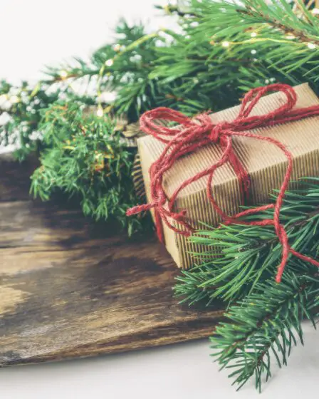 Ne donnez pas de produits piratés à Noël 5 Ne donnez pas de produits piratés à Noël - 4