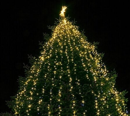Le Danemark sur le sommet de l'arbre de Noël vert et étincelant 39 Le Danemark sur le sommet de l'arbre de Noël vert et étincelant - 38