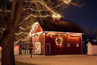 Le coût des lumières de Noël est faible - 20