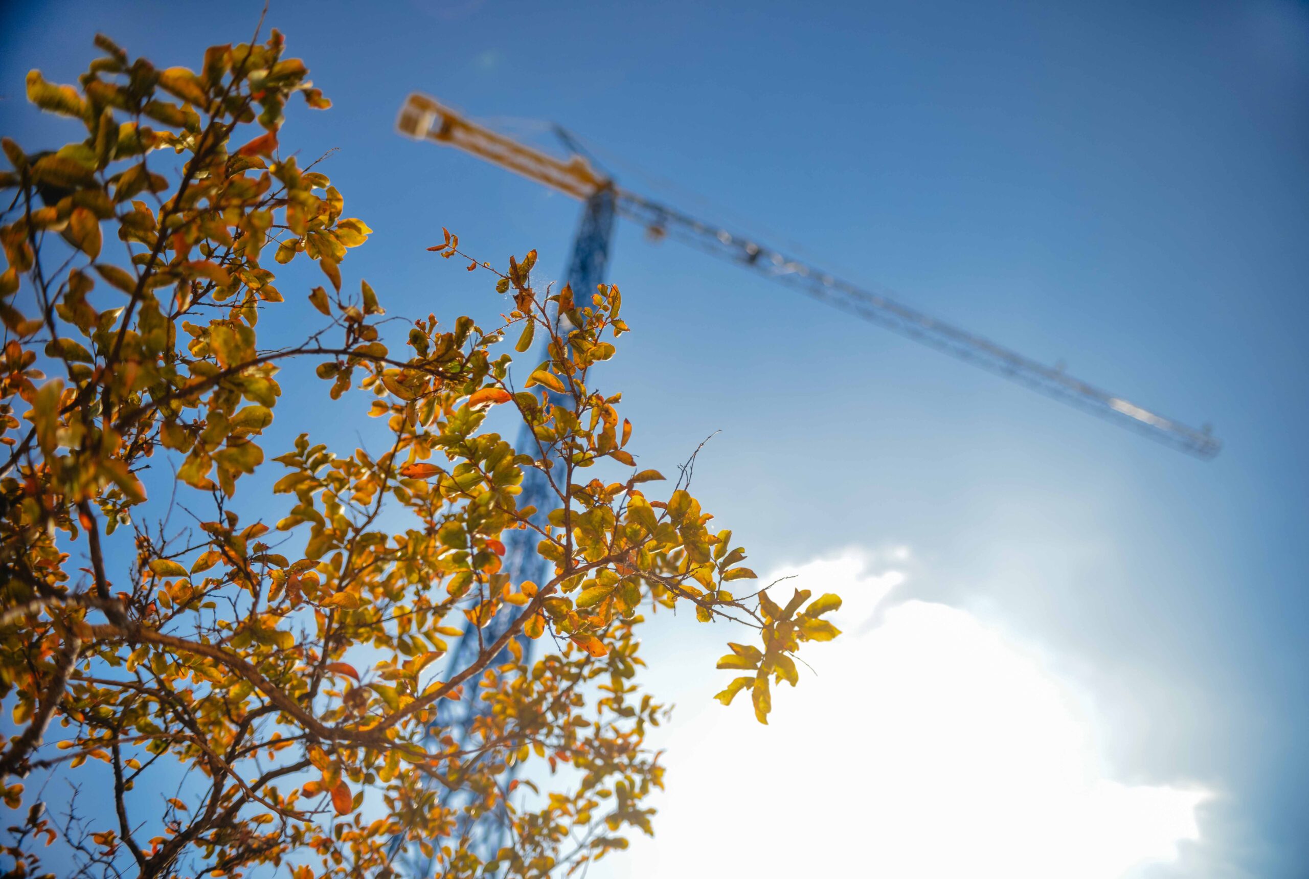 L'industrie du bâtiment croit en l'avenir, mais elle a besoin de plus de personnel - 3