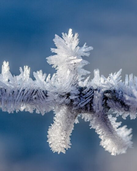 Reste froid au sud et à l'est 8 Reste froid au sud et à l'est - 7