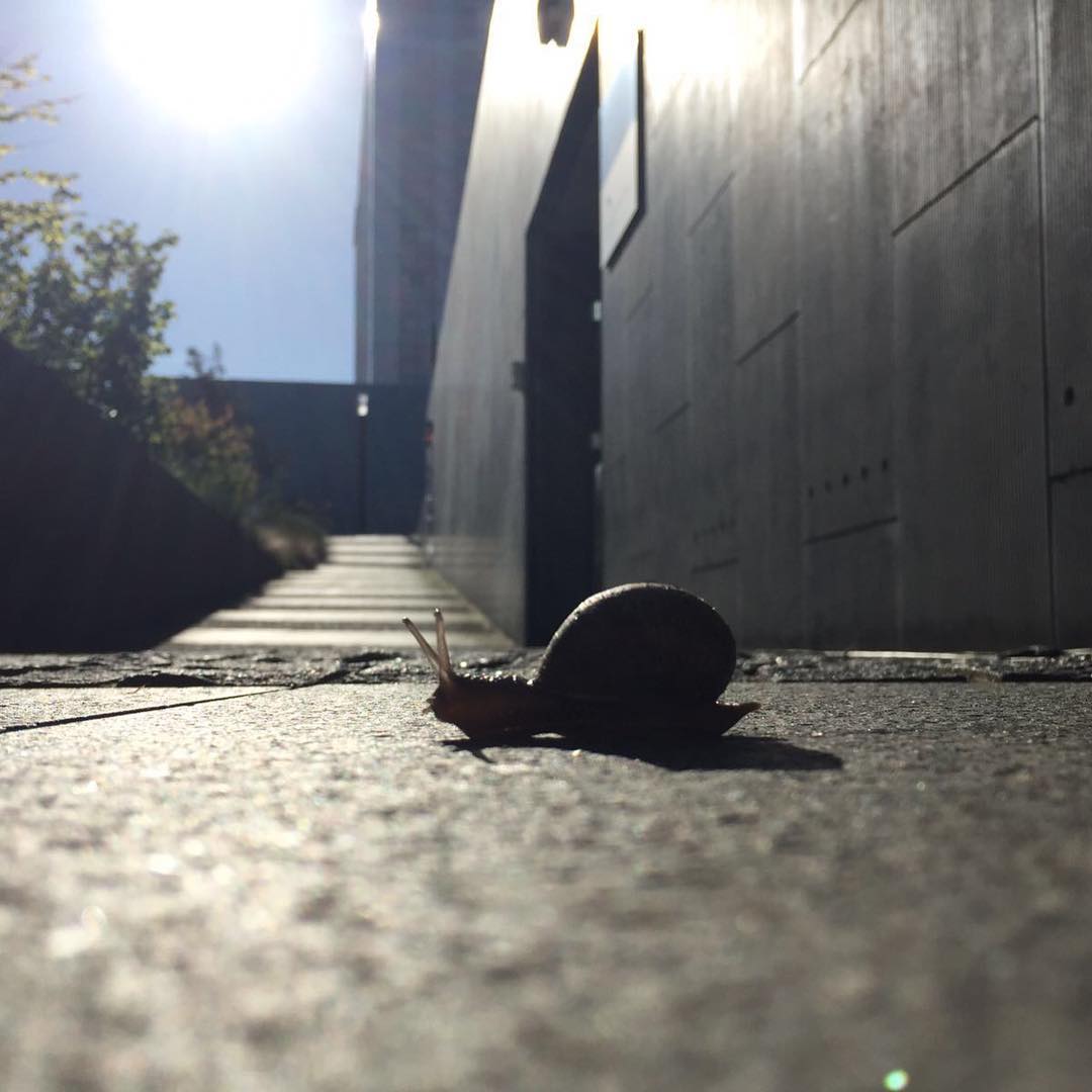 2017, l'année où la cybercriminalité frappe près de chez soi 4 2017, l'année où la cybercriminalité frappe près de chez soi - 3