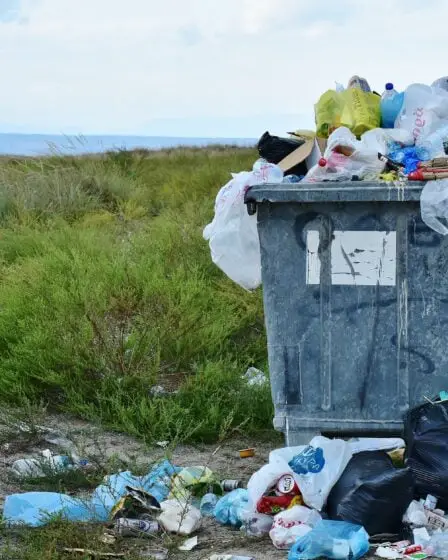 L'ONU met en garde contre l'augmentation de la pollution des sols 17 L'ONU met en garde contre l'augmentation de la pollution des sols - 16
