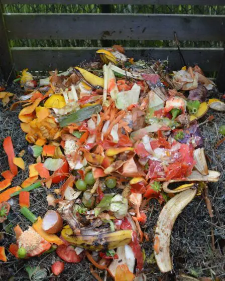 NHO et Virke font rage contre le gaspillage alimentaire 5 NHO et Virke font rage contre le gaspillage alimentaire - 4