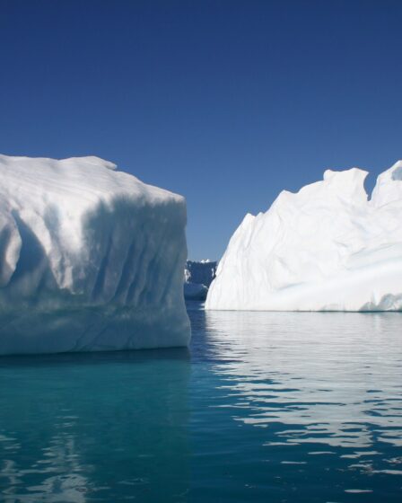 La glace de mer diminue autour de l'Antarctique - 11