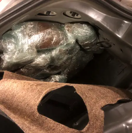 Contrebande de marijuana à Trøndelag - Norway Today 11 Contrebande de marijuana à Trøndelag - Norway Today - 10