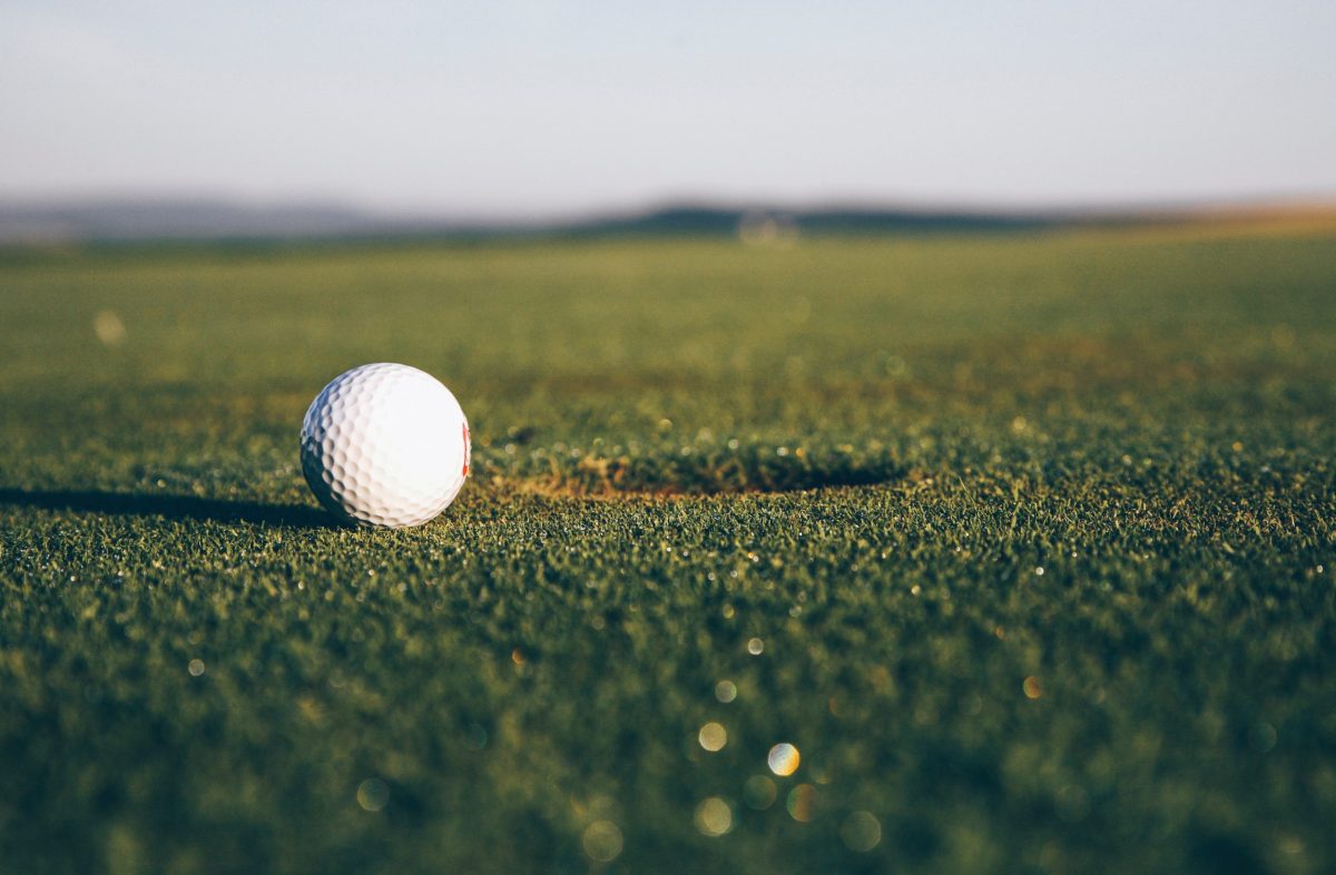 Serial Pooper a finalement arrêté de déféquer dans les trous du club de golf norvégien 4 Serial Pooper a finalement arrêté de déféquer dans les trous du club de golf norvégien - 3
