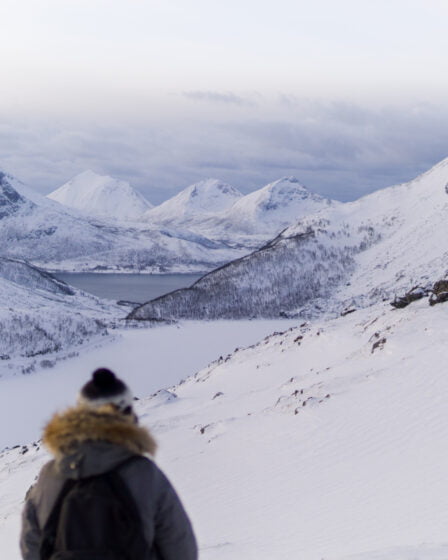 Un Norvégien tente de traverser la frontière suédoise à ski dans le but d'éviter la quarantaine 17 Un Norvégien tente de traverser la frontière suédoise à ski dans le but d'éviter la quarantaine - 16