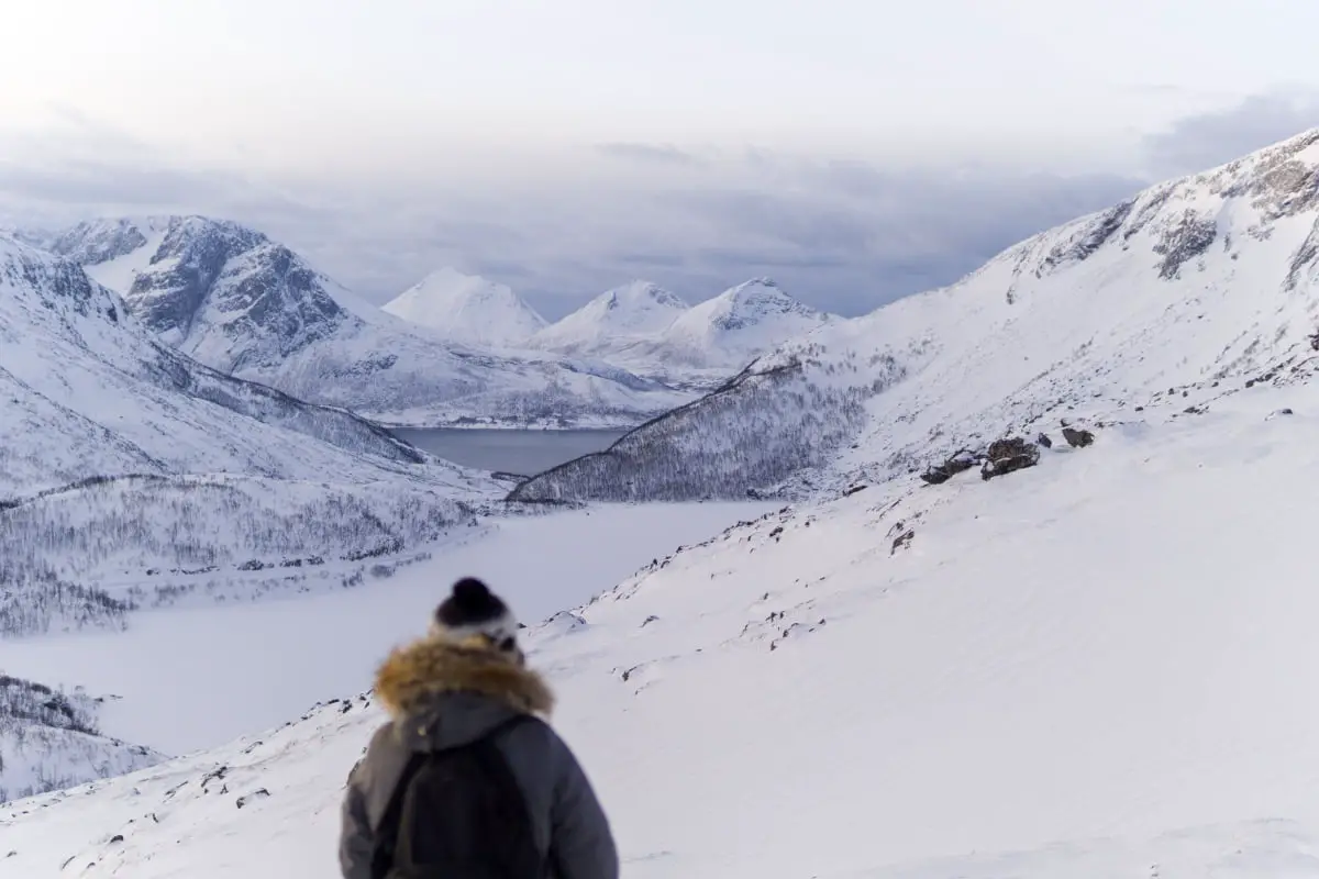 Un Norvégien tente de traverser la frontière suédoise à ski dans le but d'éviter la quarantaine - 5