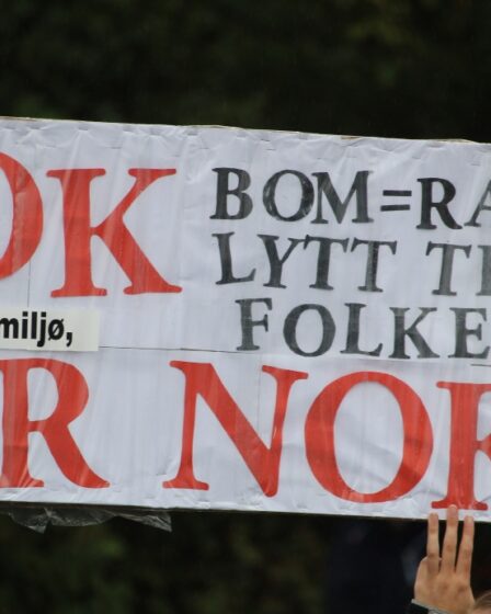 Les manifestations contre les péages routiers le 1er mai sont un appât pour les électeurs 11 Les manifestations contre les péages routiers le 1er mai sont un appât pour les électeurs - 10
